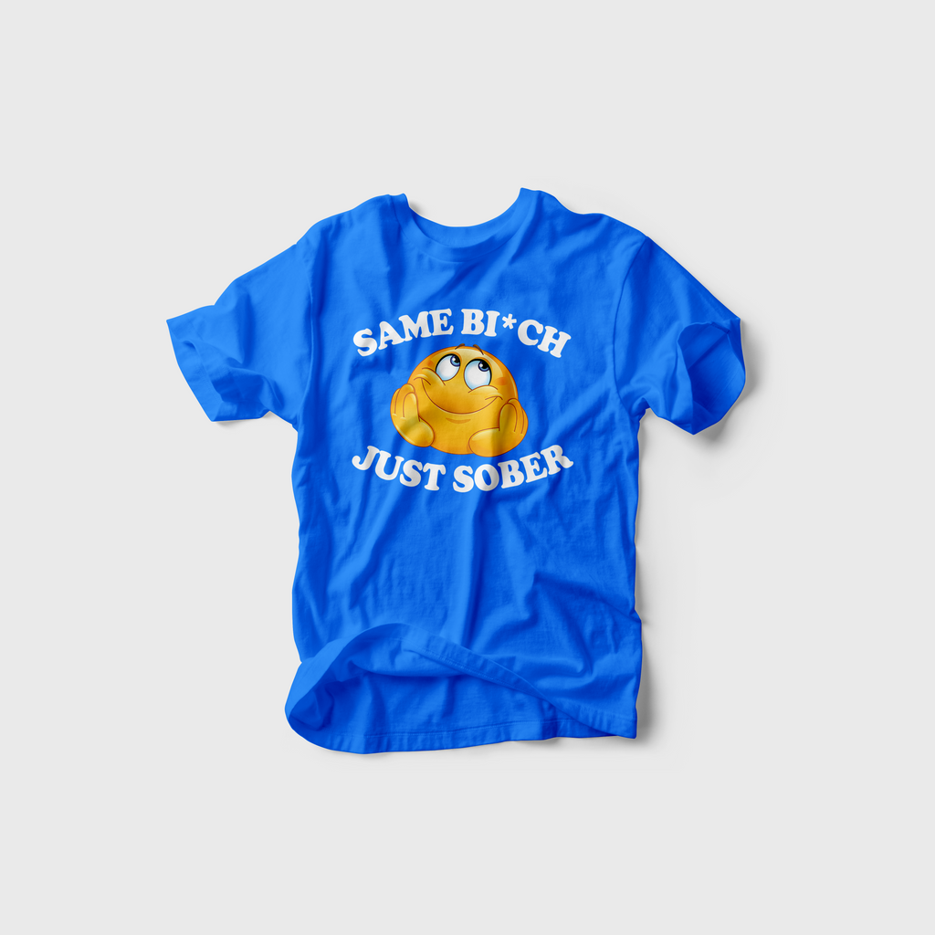 Same Bitch Just Sober